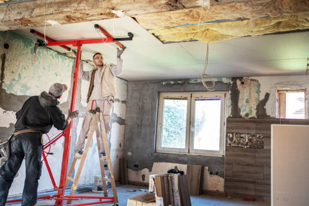 Best Insulation Maintenance and Repair in Beechwood, MS