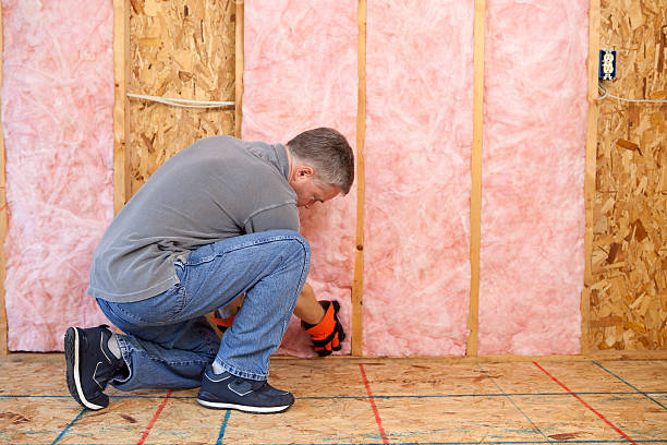 Best Types of Insulation in Beechwood, MS